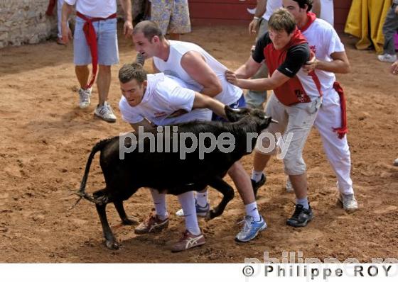 Tauromachie - Landes (40F01220.jpg)