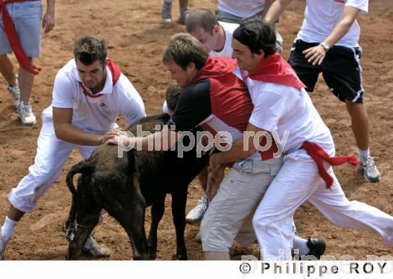 Tauromachie - Landes (40F01221.jpg)