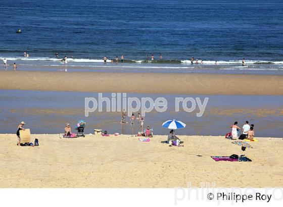 PLAGE DE MIMIZAN, COTE D' ARGENT, LANDES, AQUITAINE. (40F01237.jpg)