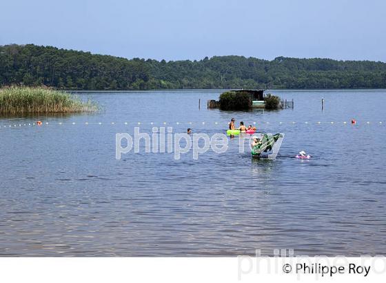 LAC D' AUREILHAN, MIMIZAN, COTE D' ARGENT, LANDES, AQUITAINE. (40F01303.jpg)