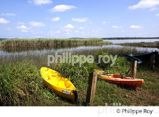 LAC D' AUREILHAN, MIMIZAN, COTE D' ARGENT, LANDES, AQUITAINE. (40F01311.jpg)