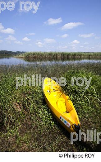 LAC D' AUREILHAN, MIMIZAN, COTE D' ARGENT, LANDES, AQUITAINE. (40F01312.jpg)
