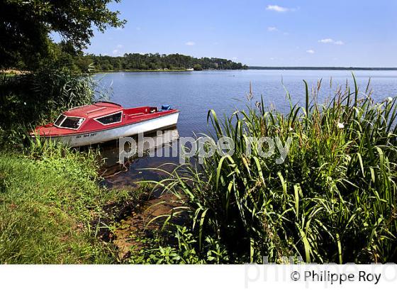 LAC D' AUREILHAN, MIMIZAN, COTE D' ARGENT, LANDES, AQUITAINE. (40F01318.jpg)