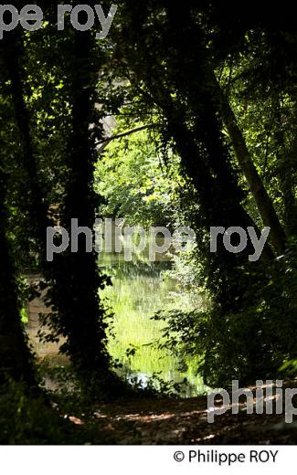 PARC JEAN RAMEAU, MONT DE MARSAN, LANDES, AQUITAINE. (40F01532.jpg)