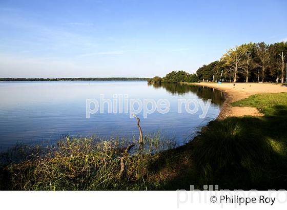 LE LAC DE LEON A LEON,  COTE ATLANTIQUE, LANDES, AQUITAINE. (40F02024.jpg)