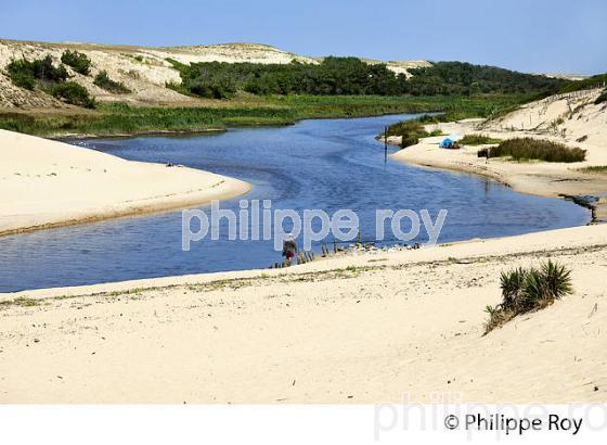 LE COURANT D' HUCHET , ET LA PLAGE DE  MOLIETS ,  COTE ATLANTIQUE, LANDES, AQUITAINE. (40F02221.jpg)