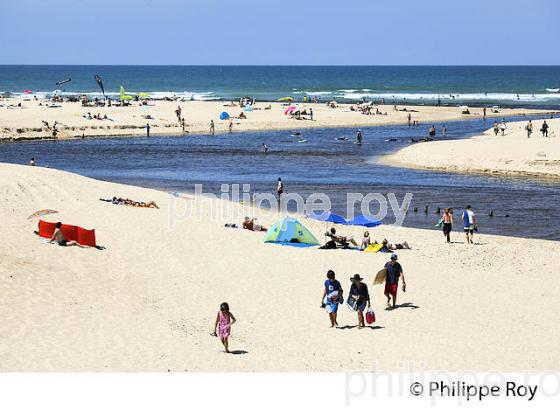LE COURANT D' HUCHET , ET LA PLAGE DE  MOLIETS ,  COTE ATLANTIQUE, LANDES, AQUITAINE. (40F02224.jpg)