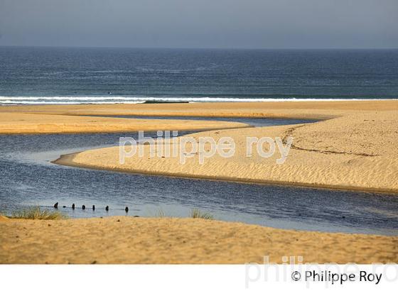 LE COURANT D' HUCHET , ET LA PLAGE DE  MOLIETS ,  COTE ATLANTIQUE, LANDES, AQUITAINE. (40F02301.jpg)