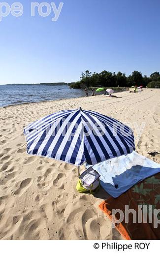 LAC DE BISCARROSSE, COTE ATLANTIQUE, LANDES, AQUITAINE. (40F02419.jpg)
