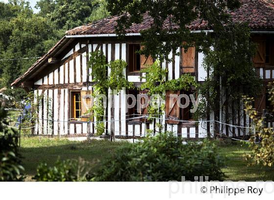 MAISON TRADITIONNELLE LANDAISE, LUXEY, PARC NATUREL  REGIONAL DES LANDES DE GASCOGNE, AQUITAINE. (40F02504.jpg)