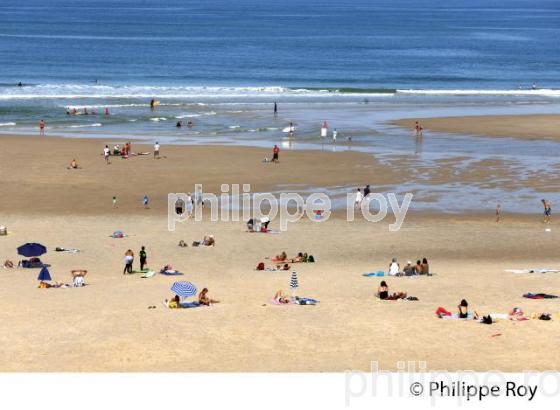 PLAGE  DE BISCARROSSE, COTE ATLANTIQUE, LANDES, AQUITAINE. (40F02508.jpg)