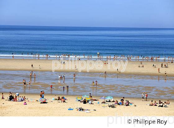 PLAGE  DE BISCARROSSE, COTE ATLANTIQUE, LANDES, AQUITAINE. (40F02509.jpg)