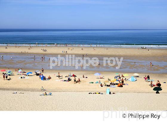 PLAGE  DE BISCARROSSE, COTE ATLANTIQUE, LANDES, AQUITAINE. (40F02512.jpg)