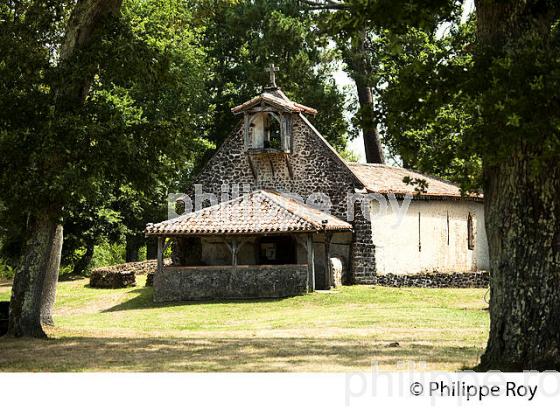 SAUGNACQ  ET MURET, CHEMIN DE SAINT JACQUES, HAUTE LANDE, LANDES DE GASCOGNE, AQUITAINE. (40F02537.jpg)