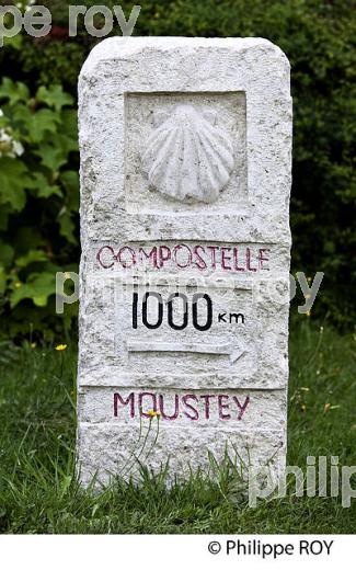 MOUSTEY, CHEMIN DE SAINT JACQUES, HAUTE LANDE, LANDES DE GASCOGNE, AQUITAINE. (40F02606.jpg)