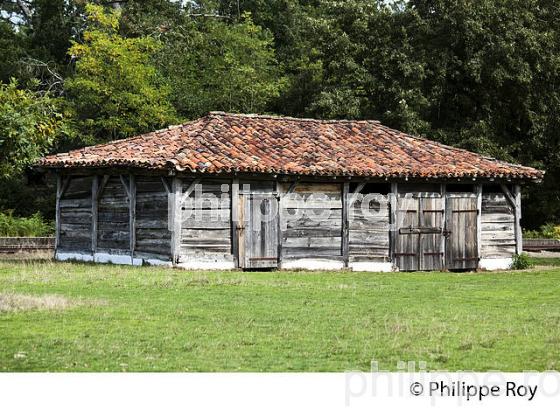 ECOMUSEE DE MARQUEZE, PARC NATUREL  REGIONAL DES LANDES DE GASCOGNE, AQUITAINE. (40F03034.jpg)