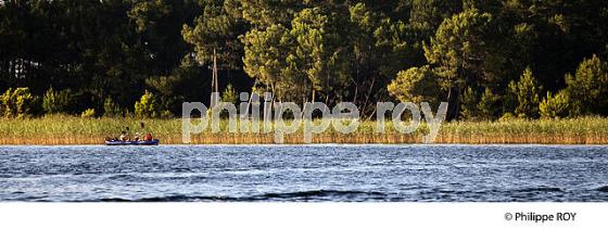LAC DE SANGUINET , LANDES, COTE ATLANTIQUE,  AQUITAINE. (40F03104.jpg)