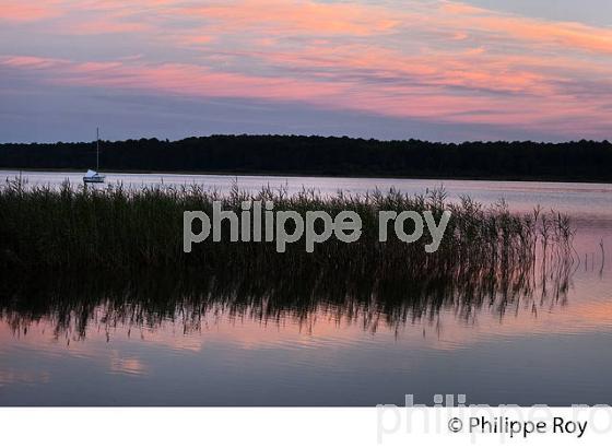 LAC DE SANGUINET , LANDES, COTE ATLANTIQUE,  AQUITAINE. (40F03116.jpg)