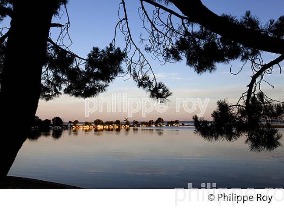 LAC DE SANGUINET , LANDES, COTE ATLANTIQUE,  AQUITAINE. (40F03127.jpg)