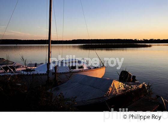 LAC DE SANGUINET , LANDES, COTE ATLANTIQUE,  AQUITAINE. (40F03129.jpg)