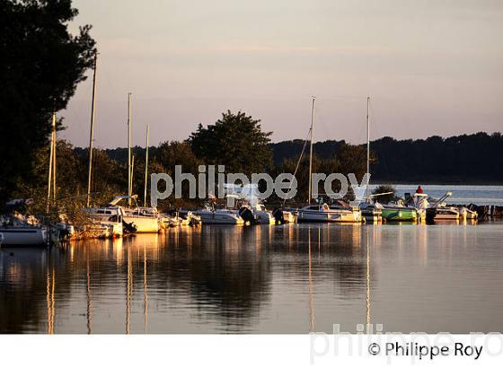 LAC DE SANGUINET , LANDES, COTE ATLANTIQUE,  AQUITAINE. (40F03130.jpg)