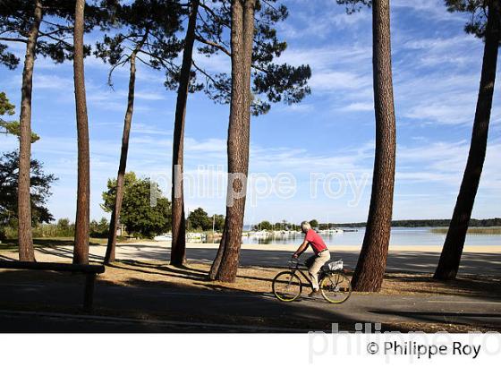 LAC DE SANGUINET , LANDES, COTE ATLANTIQUE,  AQUITAINE. (40F03136.jpg)