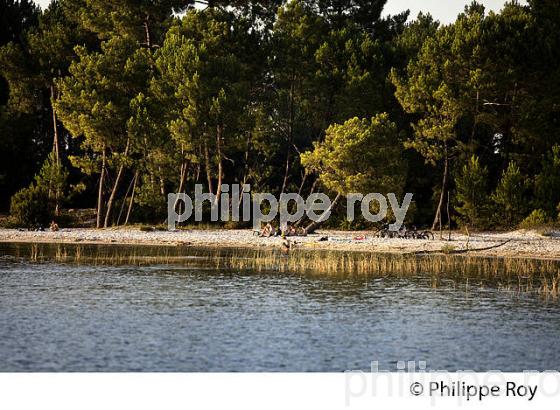 LAC DE SANGUINET , LANDES, COTE ATLANTIQUE,  AQUITAINE. (40F03212.jpg)