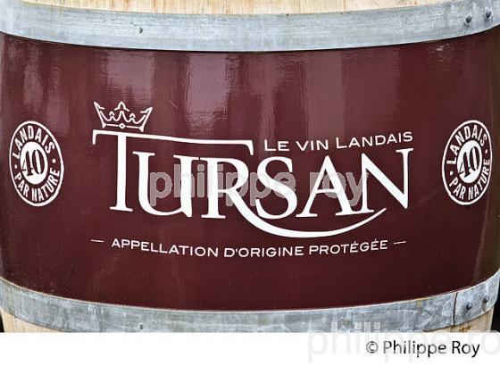 VINS DE TURSAN, LE VIN LANDAIS, SUD-OUEST. (40F03420.jpg)