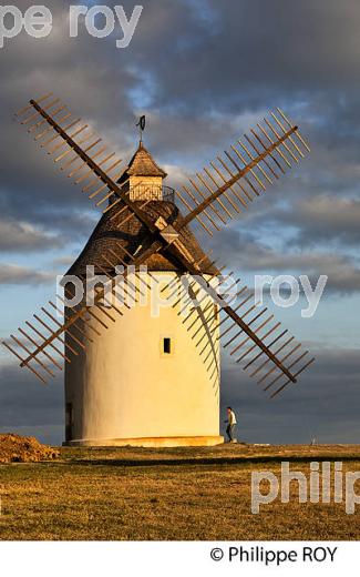 MOULIN A VENT  DE CHALOSSE,  BENESSE-LES-DAX ,LANDES. (40F03503.jpg)