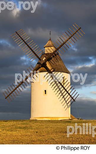 MOULIN A VENT  DE CHALOSSE,  BENESSE-LES-DAX ,LANDES. (40F03504.jpg)