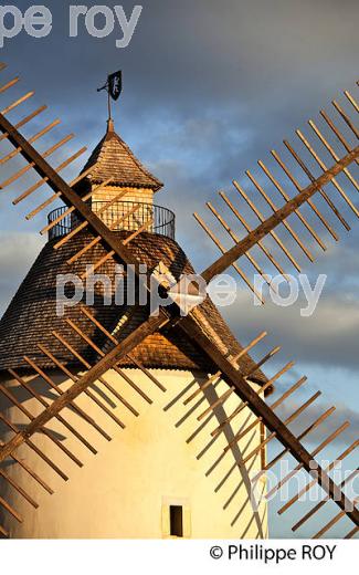 MOULIN A VENT  DE CHALOSSE,  BENESSE-LES-DAX ,LANDES. (40F03507.jpg)