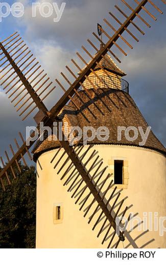 MOULIN A VENT  DE CHALOSSE,  BENESSE-LES-DAX ,LANDES. (40F03508.jpg)