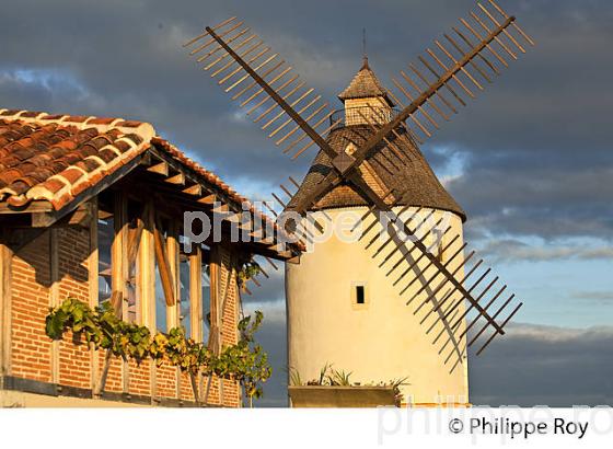 MOULIN A VENT  DE CHALOSSE,  BENESSE-LES-DAX ,LANDES. (40F03510.jpg)