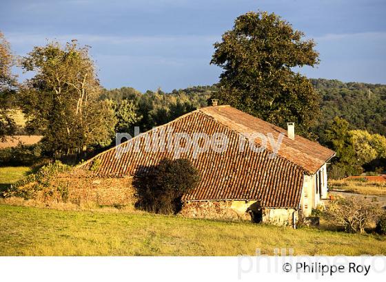 MAISON TRADITIONNELLE  DE CHALOSSE, LANDES. (40F03511.jpg)