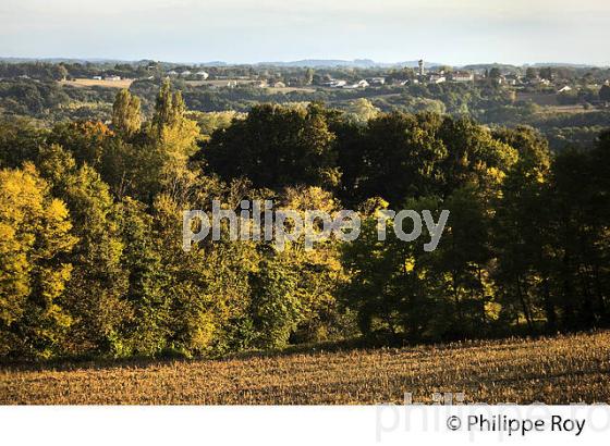 PAYSAGE AGRICOLE   DE CHALOSSE, LANDES. (40F03515.jpg)