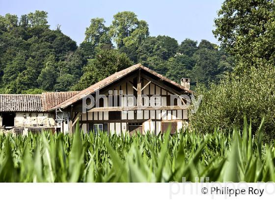 MAISON TRADITIONNELLE, GRENADE SUR L' ADOUR,  PAYS GRENADOIS,  LANDES. (40F03637.jpg)