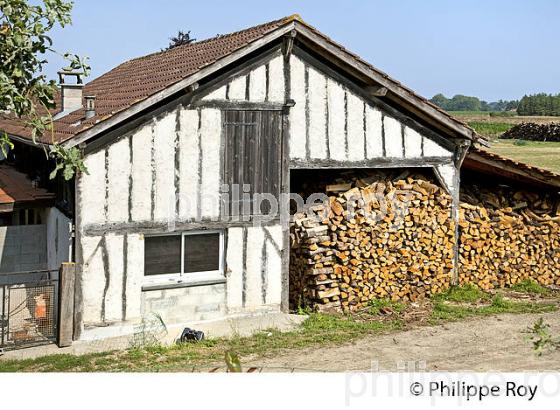 MAISON TRADITIONNELLE LANDAISE, RENUNG,  PAYS GRENADOIS, LANDES. (40F03702.jpg)