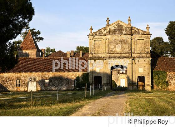 ABBAYE DE SAINT JEAN DE LA CASTELLE, HARAS, DUHORT-BACHEN, VALLEE DE L' ADOUR, TURSAN, LANDES (40F03734.jpg)