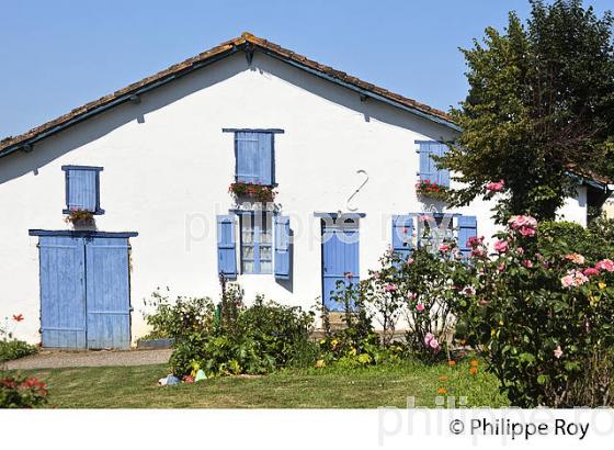 MAISON LANDAISE  DE CHALOSSE, GAUJACQ, LANDES. (40F04036.jpg)