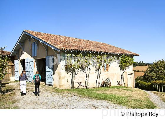 MUSEE DE LA CHALOSSE, DOMAINE CARCHER,  BASTIDE DE MONTFORT EN CHALOSSE, CHALOSSE, LANDES. (40F04209.jpg)