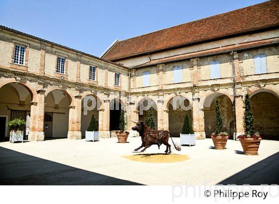 LE CLOITRE DU  COUVENT DES JACOBINS, SAINT-SEVER,  CHALOSSE, LANDES. (40F04429.jpg)