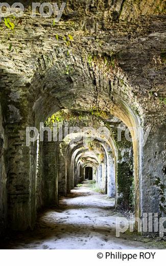 CRYPTOPORTIQUE, ABBAYE SAINT-JEAN DE SORDE , VILLAGE  DE SORDE L' ABBAYE,  PAYS D'ORTHE, LANDES. (40F04623.jpg)