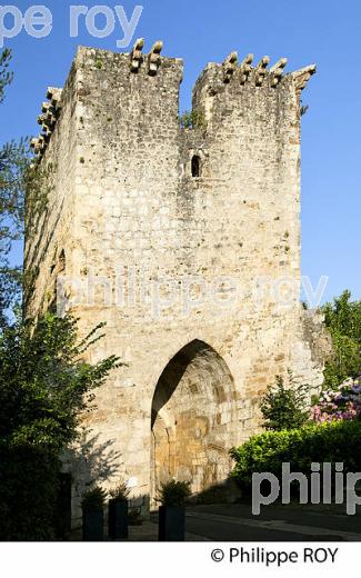 LE VILLAGE D' HASTINGUES , BASTIDE DU   PAYS D' ORTHE, LANDES. (40F04829.jpg)