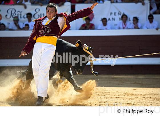 ECARTEUR, COURSE LANDAISE, ARENES  DE DAX, FETES DE DAX, LANDES, GASCOGNE. (40F06108.jpg)