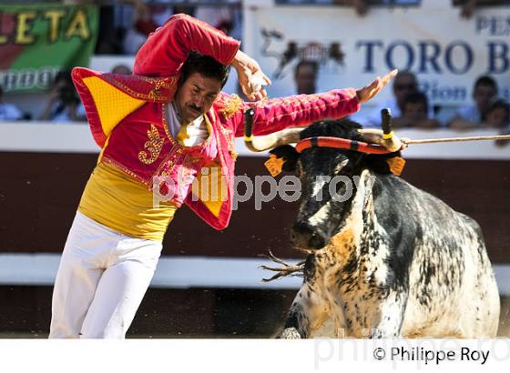 ECARTEUR, COURSE LANDAISE, ARENES  DE DAX, FETES DE DAX, LANDES, GASCOGNE. (40F06113.jpg)