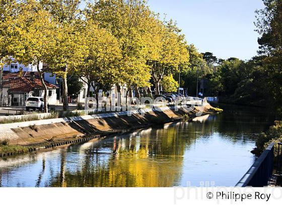 LE   BOUDIGAU, CANAL,  STATION BALNEAIRE DE CAPBRETON, COTE D' ARGENT, LANDES. (40F07034.jpg)