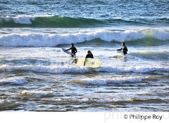 SURFEURS, PLAGE DE SANTOCHA , STATION BALNEAIRE DE CAPBRETON, COTE D' ARGENT, LANDES. (40F07324.jpg)