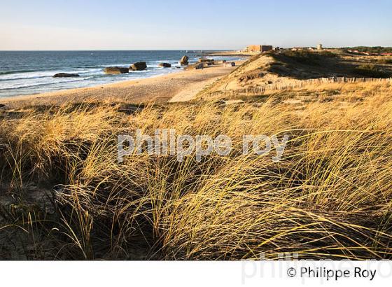 LA  PLAGE DE LA PISTE,  FRONT DE MER, STATION BALNEAIRE DE CAPBRETON, COTE D' ARGENT, LANDES. (40F07329.jpg)