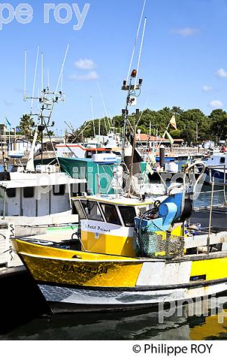 CHALUTIER, PORT DE PECHE  DE CAPBRETON, COTE D' ARGENT, LANDES. (40F07420.jpg)