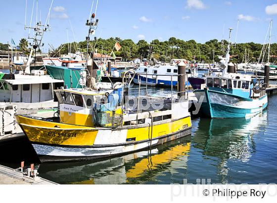 CHALUTIER, PORT DE PECHE  DE CAPBRETON, COTE D' ARGENT, LANDES. (40F07421.jpg)